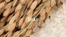 Bran
